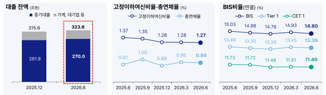 상반기 대출 잔액과 건전성 및 자산적정성 지표 추이 /기업은행