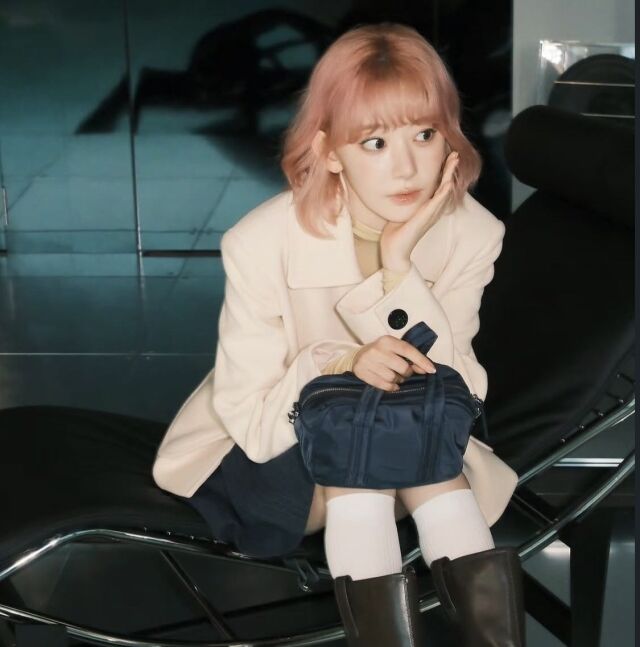 사쿠라 /소셜미디어