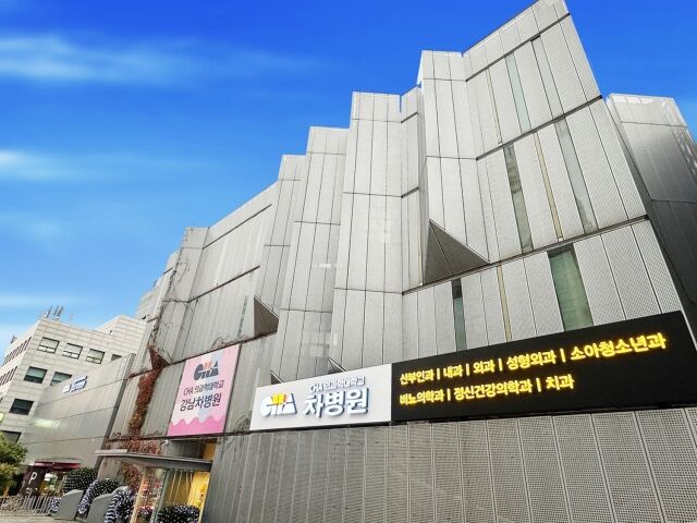 강남차병원 전경. /차병원