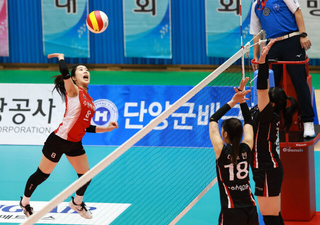 수원시청 백채림(왼쪽)이 20일 단양에서 열린 포항시체육회와 '2026 한국실업배구연맹회장배 종합선수권대회' 결승전 도중 스파이크를 시도하고 있다./발리볼코리아닷컴·한국실업배구연맹 제공