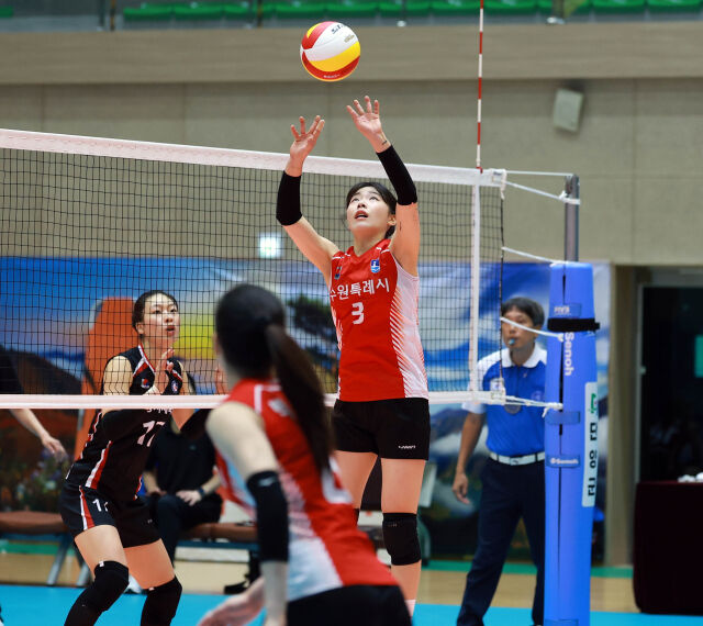 수원시청 세터 하효림이 20일 단양에서 열린 포항시체육회와 '2026 한국실업배구연맹회장배 종합선수권대회' 결승전 도중 패스(토스)를 보내고 있다./발리볼코리아닷컴·한국실업배구연맹 제공
