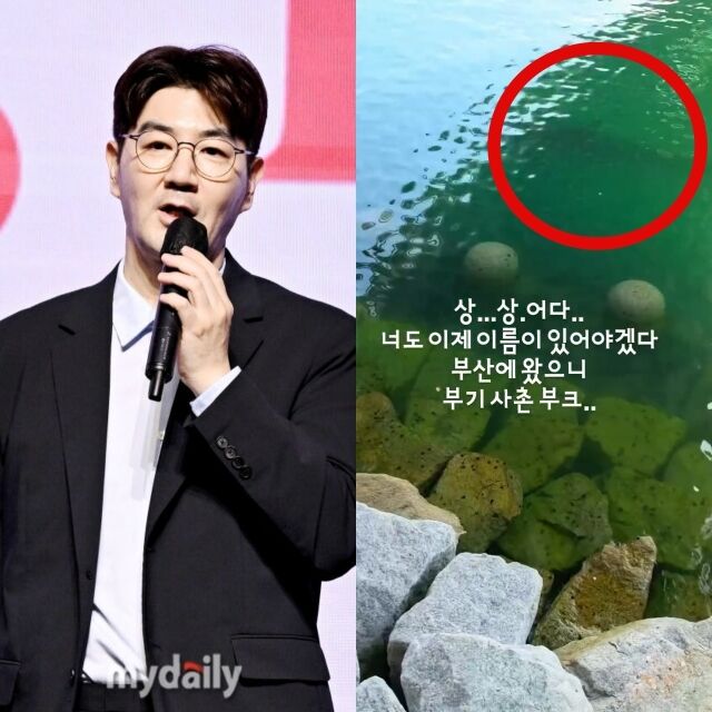 한상진이 올린 영상 속 상어./마이데일리, 한상진 인스타그램