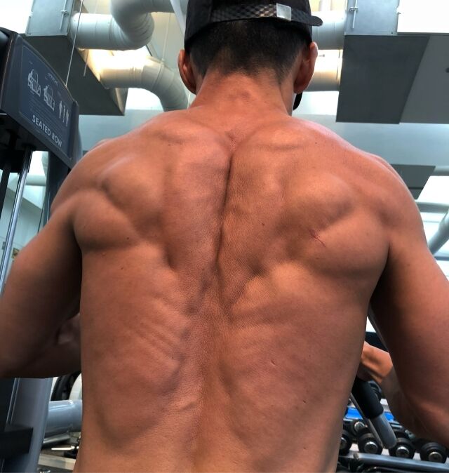 션 / 소셜미디어