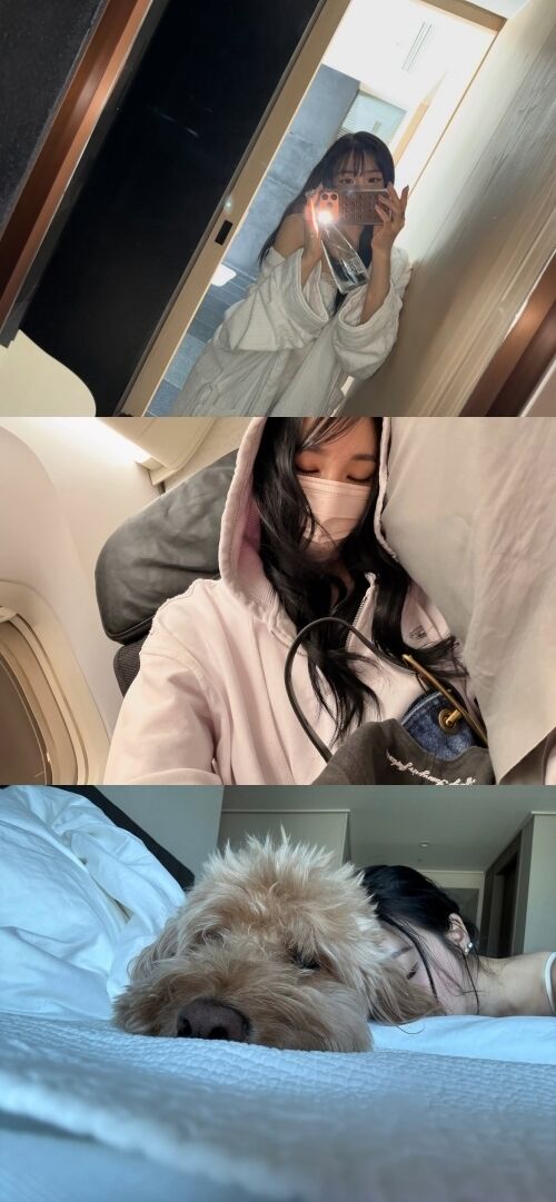 그룹 소녀시대 멤버 배우 티파니가 근황을 전했다. / 티파니 소셜미디어