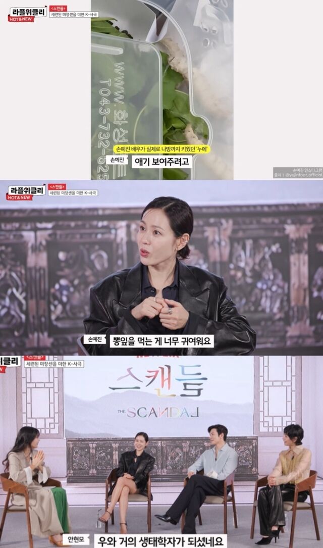 배우 손예진이 아들을 향한 남다른 애정으로 촬영장에서 가져온 누에를 나방으로까지 키워낸 엉뚱하고도 따뜻한 '열혈맘' 에피소드를 공개했다./유튜브 채널 '라이프플러스 티비'