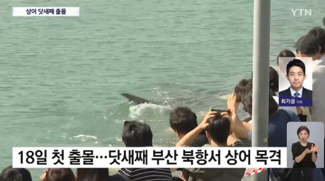 / YTN 뉴스 캡처