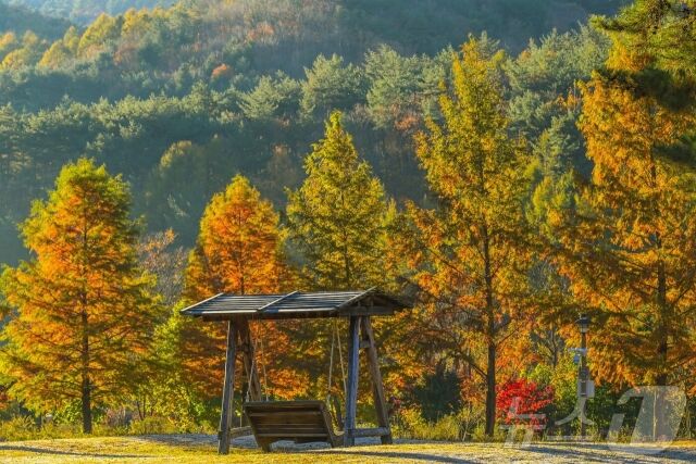 국립백두대간수목원 전경. /한국수목원정원관리원