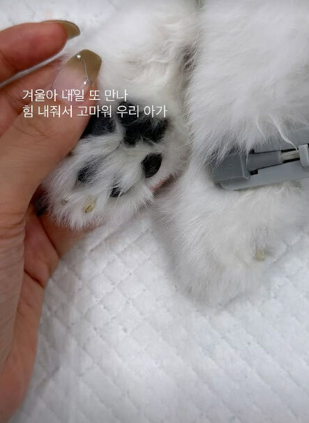 이솔이./소셜미디어