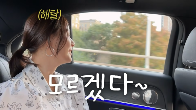 유튜브 채널 'Mrs.뉴저지 손태영'