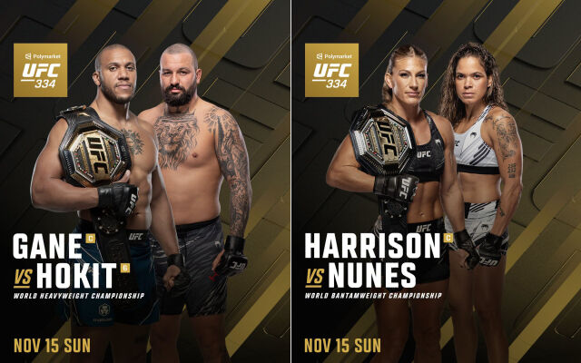 UFC 334 포스터. /UFC 제공