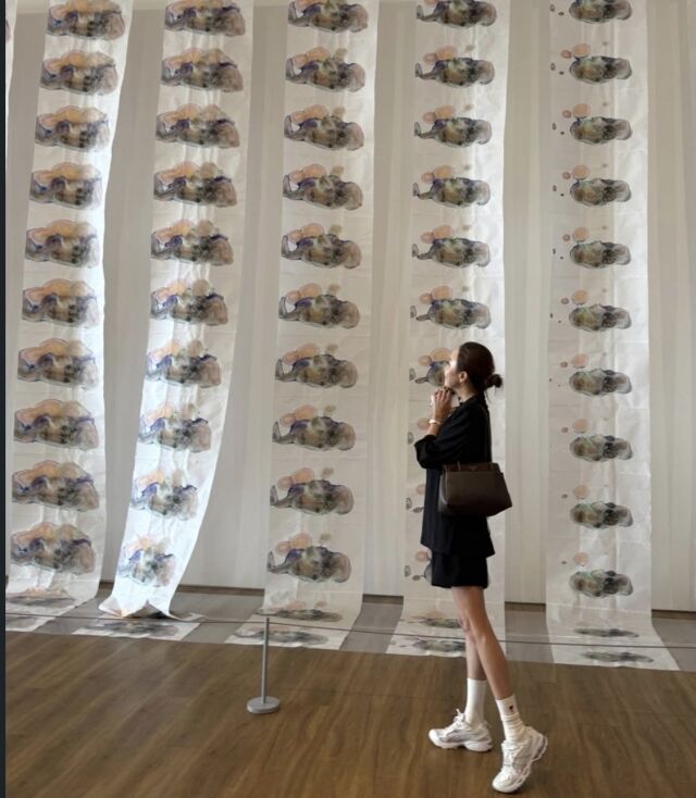 소유진/소셜미디어