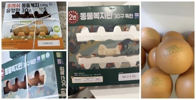 SNS에 계란 냄새 제보글과 함께 올라온 사진들. /스레드 캡처