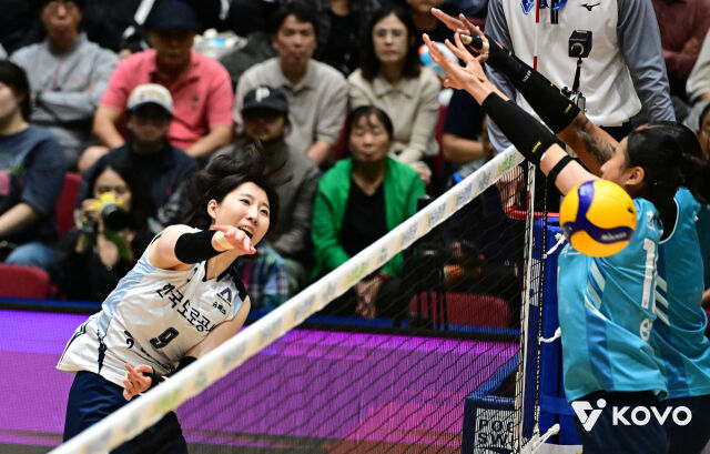 한국도로공사 박정아가 12일 열린 2026 프로배구 컵대회 여자부 GS칼텍스와 B조 조별리그 첫 경기 도중 상대 블로커 사이로 스파이크를 시도하고 있다./한국배구연맹(KOVO) 제공