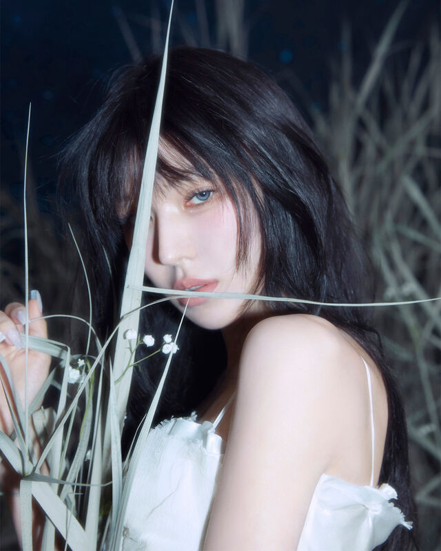 웬디 / 어센드
