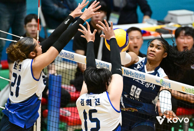 한국도로공사 모마가 14일 열린 현대건설과 2026 컵대회 B조 조별리그 2차전 도중 스파이크를 시도하고 있다./한국배구연맹(KOVO) 제공