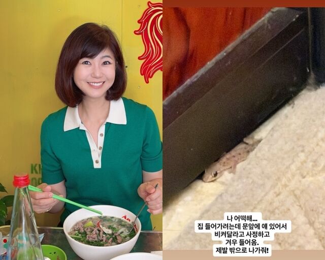 아나운서 출신 방송인 강수정, 강수정이 게재한 사진./강수정 소셜미디어