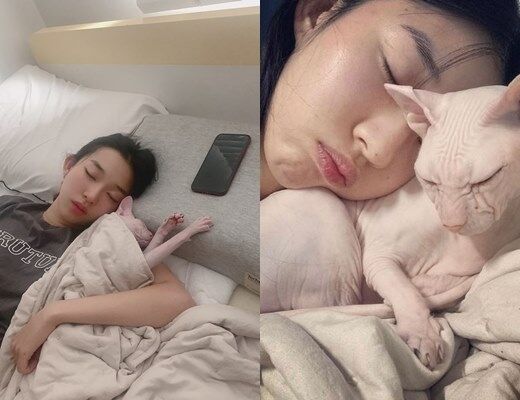 배아 김선아가 반려묘 '고블린'과의 일상을 공유했다. / 반려묘 소셜미디어