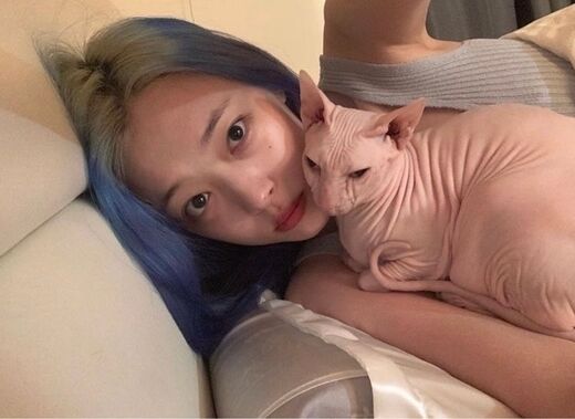 故 설리와 반려묘 '고블린' / 반려묘 소셜미디어