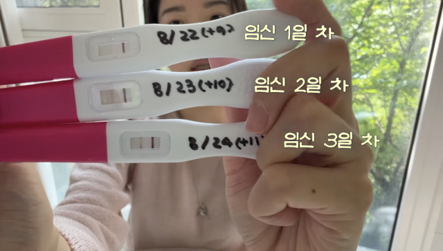 류이서가 시험관 시술을 통해 임신에 성공했지만, 끝내 유산의 아픔을 겪었다. / 유튜브 채널 '내사랑 류이서'