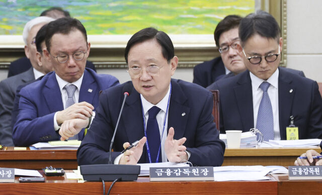 이찬진 금융감독원장이 19일 여의도 국회에서 열린 정무위원회의 금융감독원 등에 대한 국정감사에 출석해 의원질의에 답하고 있다. /뉴시스