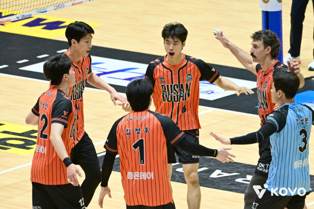 OK저축은행이 19일 여수 진남체육관에서 열린 2026 여수·NH농협컵 프로배구대회 조별리그 A조 현대캐피탈전에서 득점 이후 환호하고 있다./한국배구연맹 제공