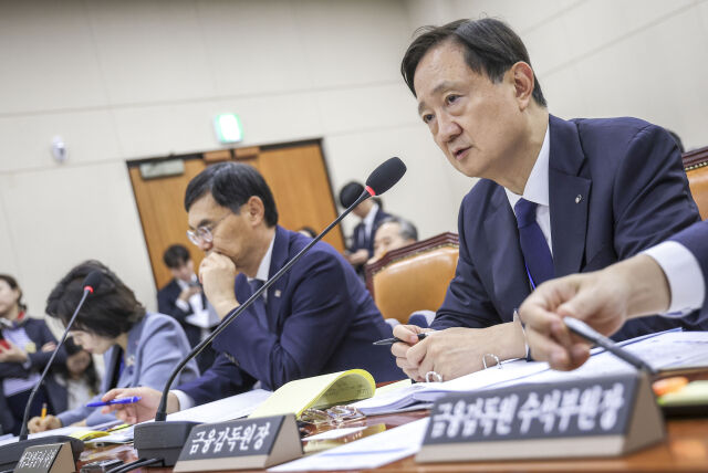 이찬진 금융위원장이 19일 서울 여의도 국회에서 열린 정무위원회 국정감사에서 질문에 답하고 있다. /뉴시스