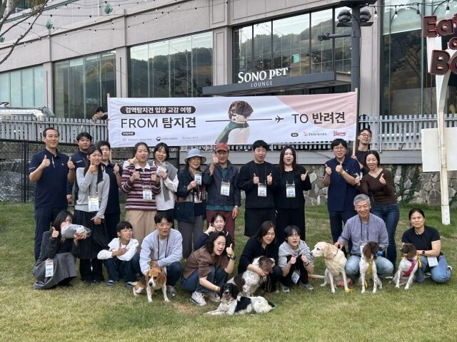 소노펫 비발디파크에서 진행된 은퇴 검역탐지견 입양 교감 여행. /소노펫클럽앤리조트
