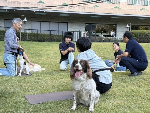 소노펫 비발디파크에서 진행된 은퇴 검역탐지견 입양 교감 여행. /소노펫클럽앤리조트