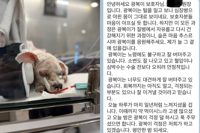 박성광과 아내 이솔이가 심장병으로 투병 중인 반려견 광복이의 수술 소식을 전하며 애틋한 마음을 드러냈다. / 박성광 SNS