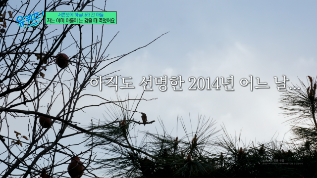 / tvN '유퀴즈'