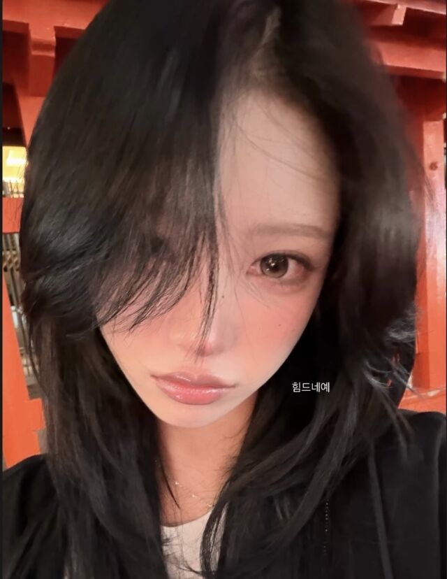 최준희 /소셜미디어
