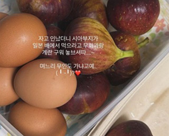 최준희가 올린 도시락 사진/소셜미디어