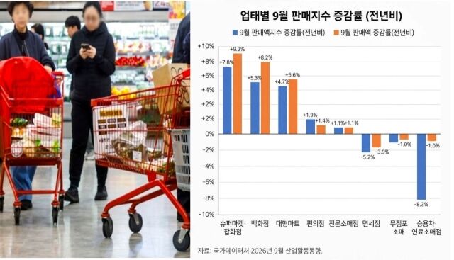 국가데이터처가 30일 발표한 ‘9월 산업활동동향’ 업태별 9월 판매지수 증감률. /그래픽=방금숙 기자 